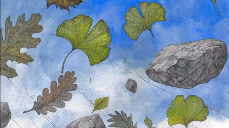 Lucile Clerc expose « Petrichor »